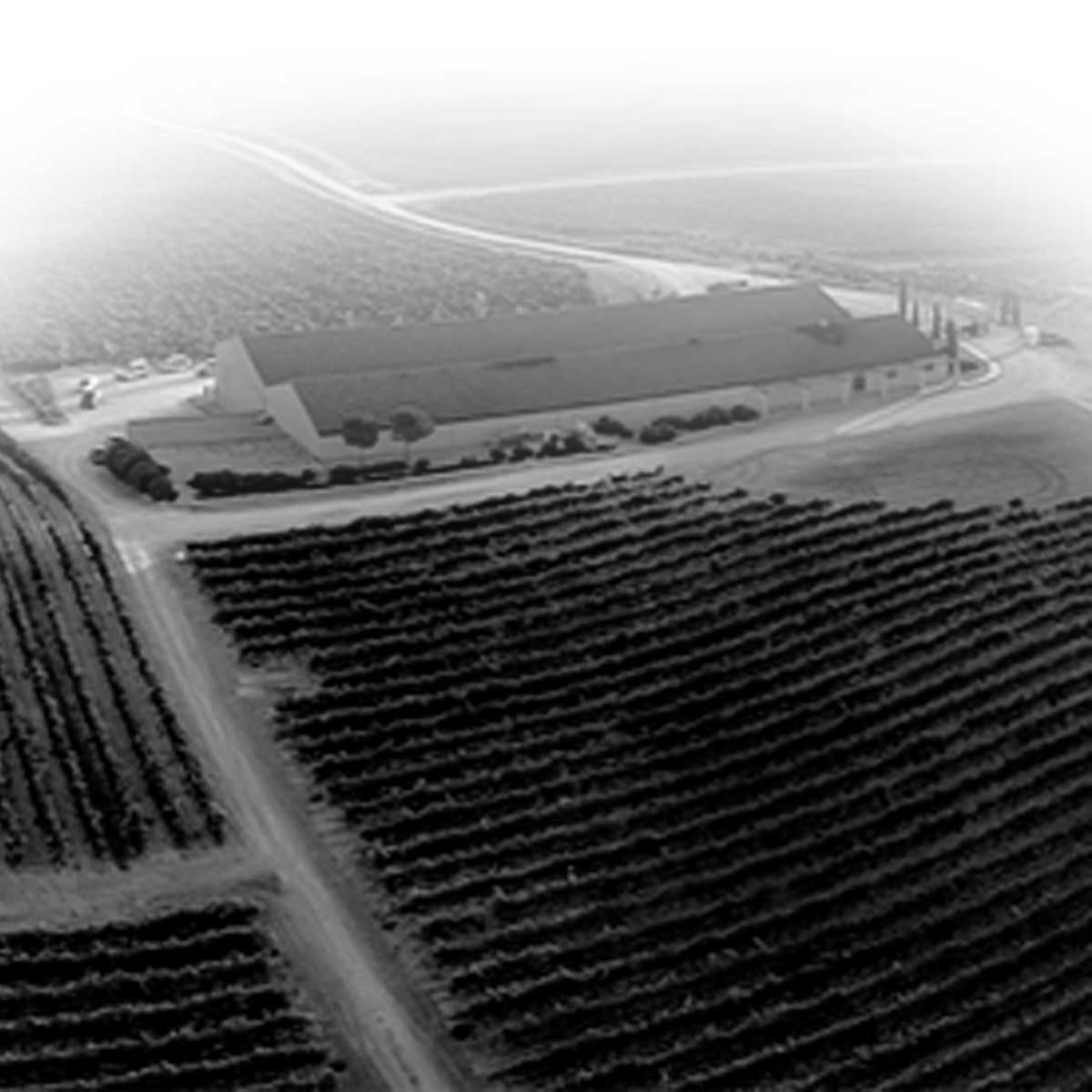 Dominio ­Basconcillos Family Wines