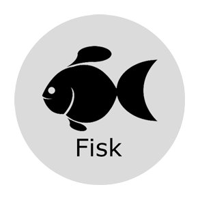 Fisk