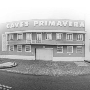 Caves Primavera