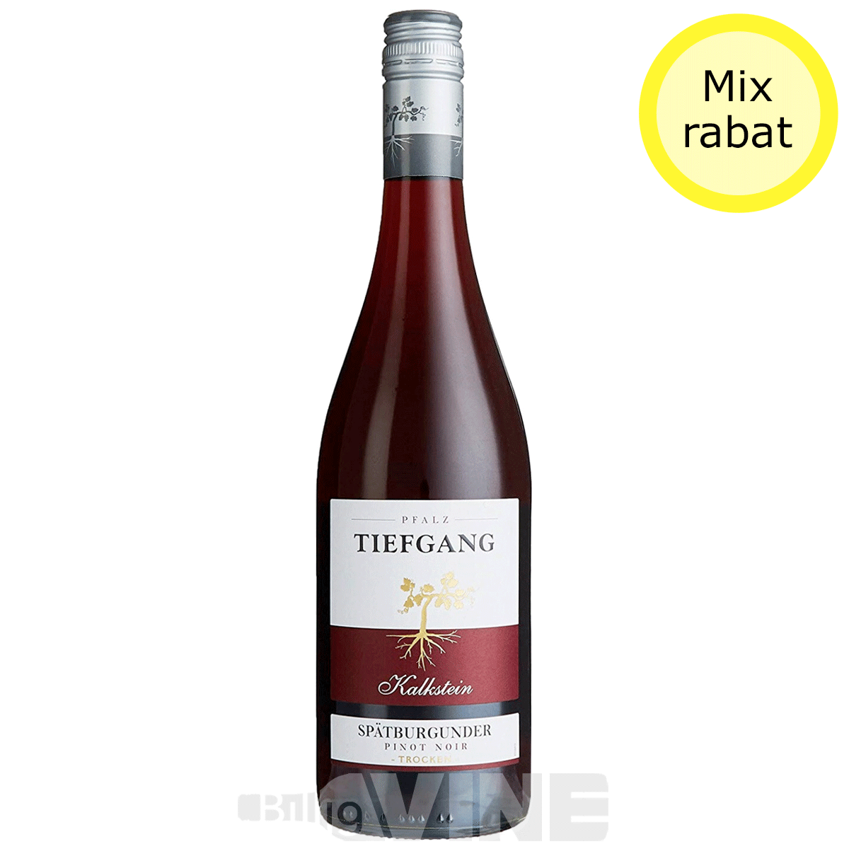 Tiefgang \'Kalkstein\' Spätburgunder (Pinot Noir) Pfalz Trocken - Rødvin 2021