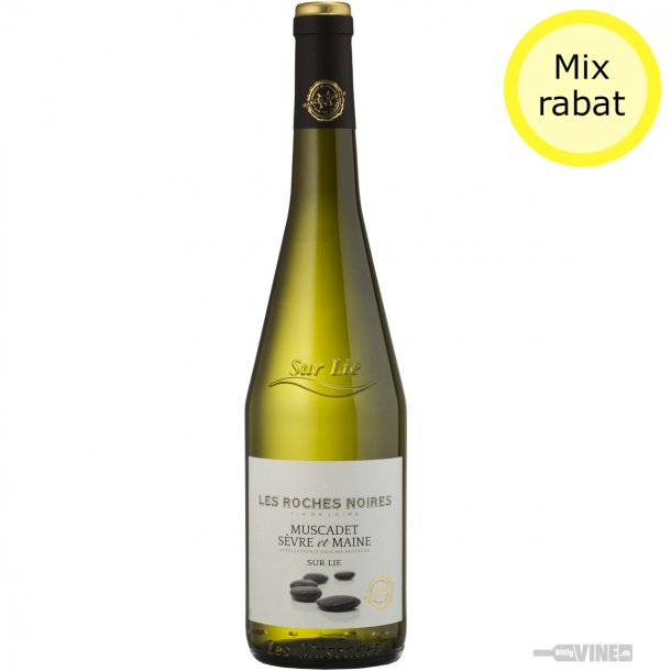 Marcel Martin Rochs Noires Muscadet Svre et Maine sur Lie 2021