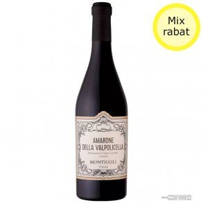 Montigoli Amarone della Valpolicella DOCG 2020