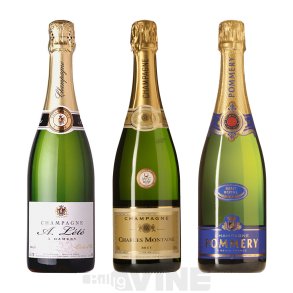 Champagne Brut, Smagekasse